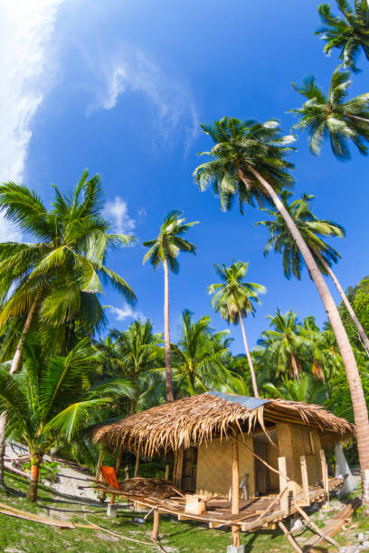 istock Port Barton - El Nido, Palawan, Philippines 1004349714