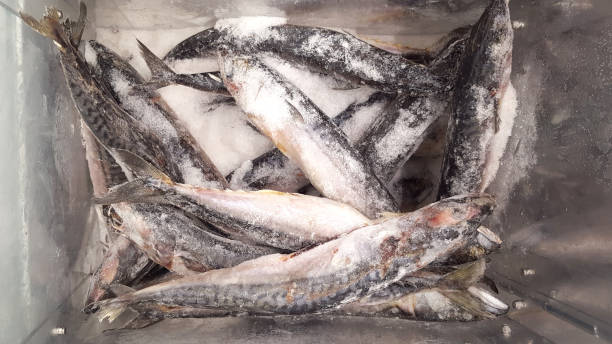 istock Fresh fishes on ice 1004387126