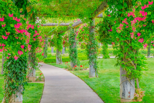 istock Garden walkway with flowers and arbor at winery (P) 1004391644