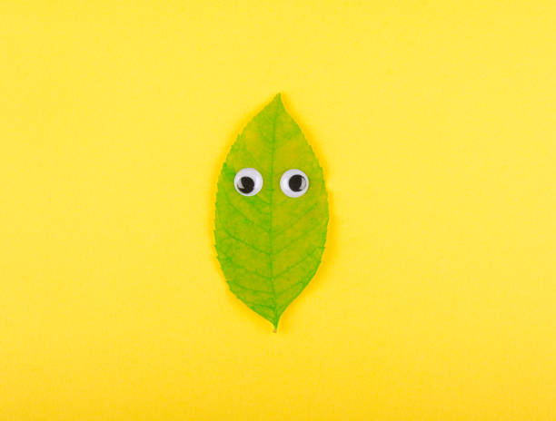 istock Funny cute autumn leaf with eyes 1004406556