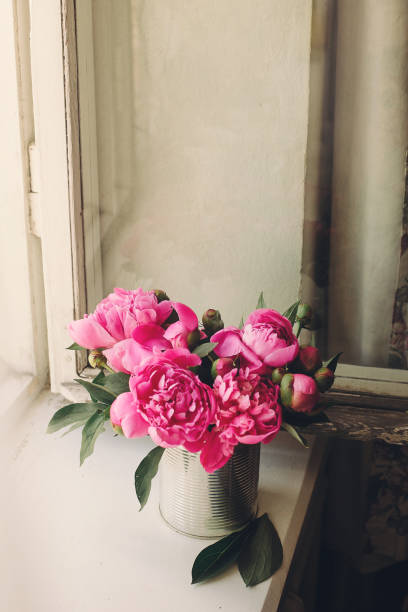 istock lovely pink peonies bouquet on rustic white wooden background at window light, space for text. top view. floral greeting card. happy mothers day. spring image. shabby chic concept 1004409946