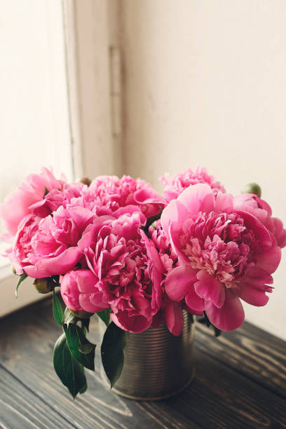 istock lovely pink peonies bouquet on rustic dark wooden background in light, space for text. top view. floral greeting card. happy mothers day. spring image. shabby chic concept 1004429004