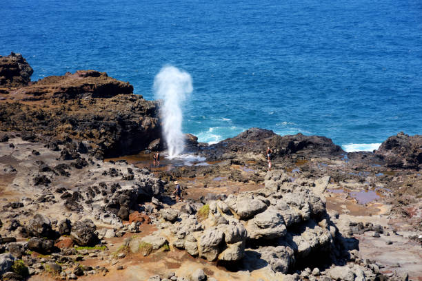 touristen bewundern die nakalele blasloch an der küste von maui. ein strahl von wasser und luft ist gewaltsam gezwungen, durch das loch in den felsen, hawaii - fountain water physical pressure splashing stock-fotos und bilder