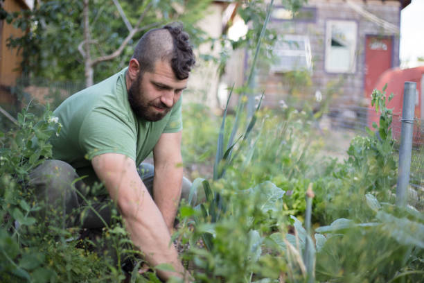 istock Gardener working in the yard 1004435026
