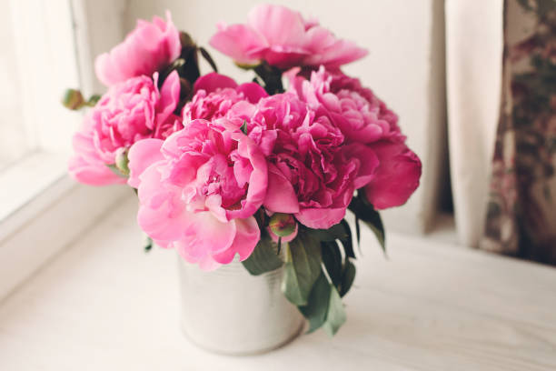 istock lovely pink peonies bouquet on rustic white wooden background at window light, space for text. top view. floral greeting card. happy mothers day. spring image. shabby chic concept 1004435096