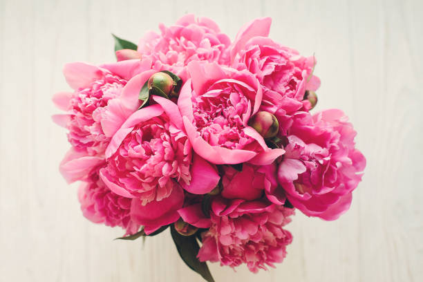 istock romantic pink peonies on rustic white wooden background, top view, space for text. floral greeting card mock-up, flat lay. happy mothers day. pink flowers, wedding concept 1004435150