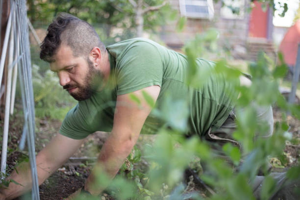 istock Gardener working in the yard 1004435422