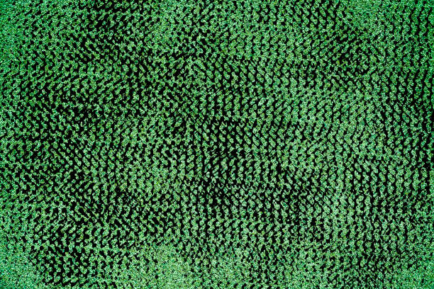 istock Rough concrete grunge ultra green texture, stone surface, cement background 1004436520