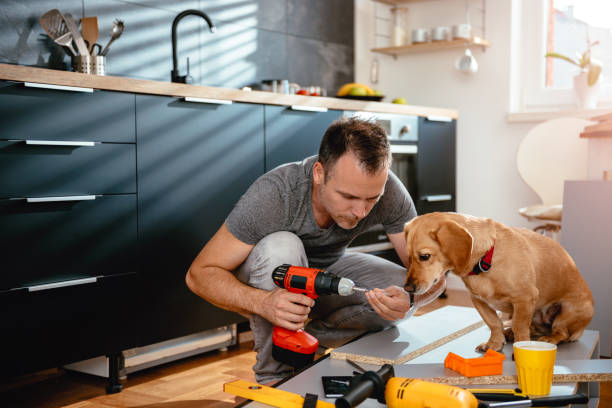 istock Man with dog building kitchen cabinets 1004436554