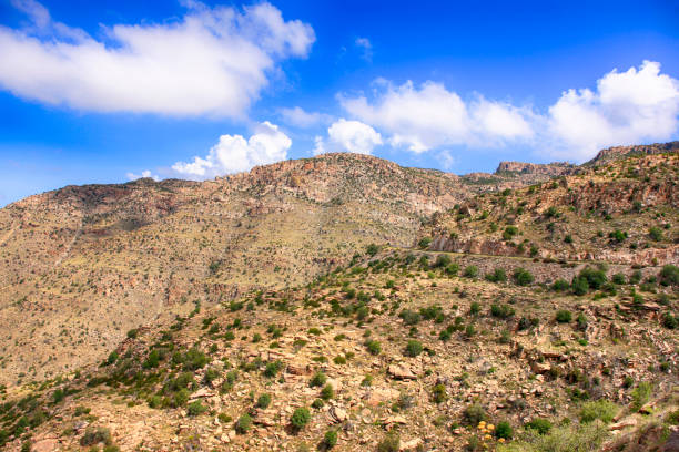 istock View from Thimble Peak on Mount Lemmon in Arizona, USA 1004438950