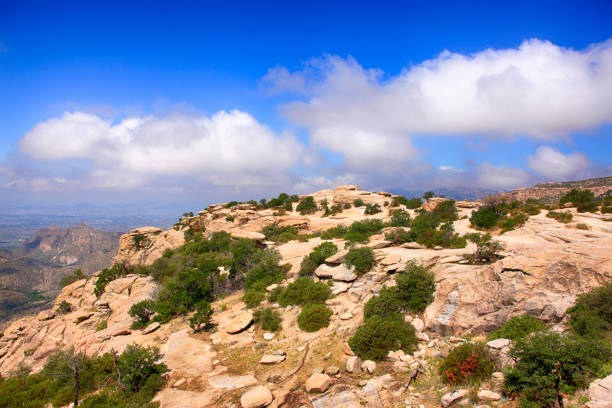 istock View from Windy Point on Mount Lemmon in Arizona, USA 1004439228