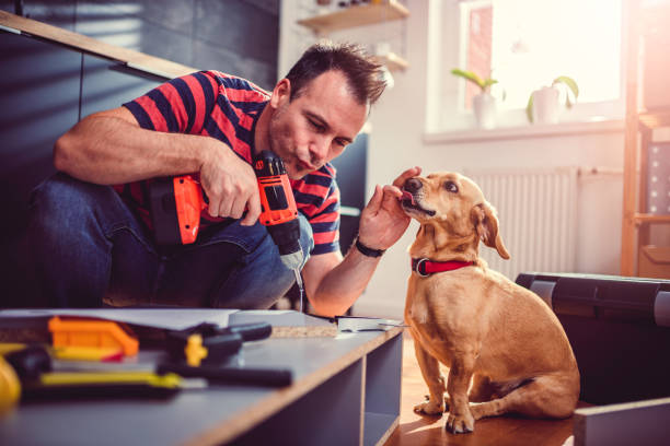 istock Man with dog building kitchen cabinets and using a cordless drill 1004443906