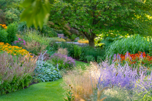 giardino meraviglioso - formal garden flower bed lawn ornamental garden foto e immagini stock