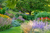 istock Wonderful garden 1004443976