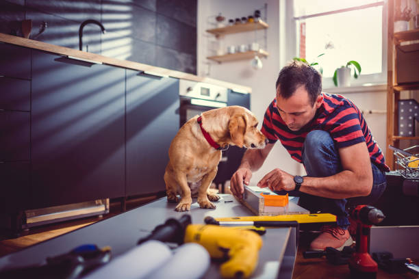 istock Man with dog building kitchen cabinets 1004444638