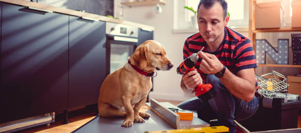 istock Man with dog building kitchen cabinets and using a cordless drill 1004445816