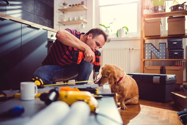 istock Man with dog building kitchen cabinets and using a cordless drill 1004446098