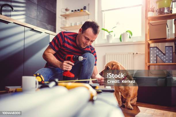 Mann Mit Hund Küchenschränke Erstellen Und Verwenden Ein Akkubohrschrauber Stockfoto und mehr Bilder von Das Leben zu Hause