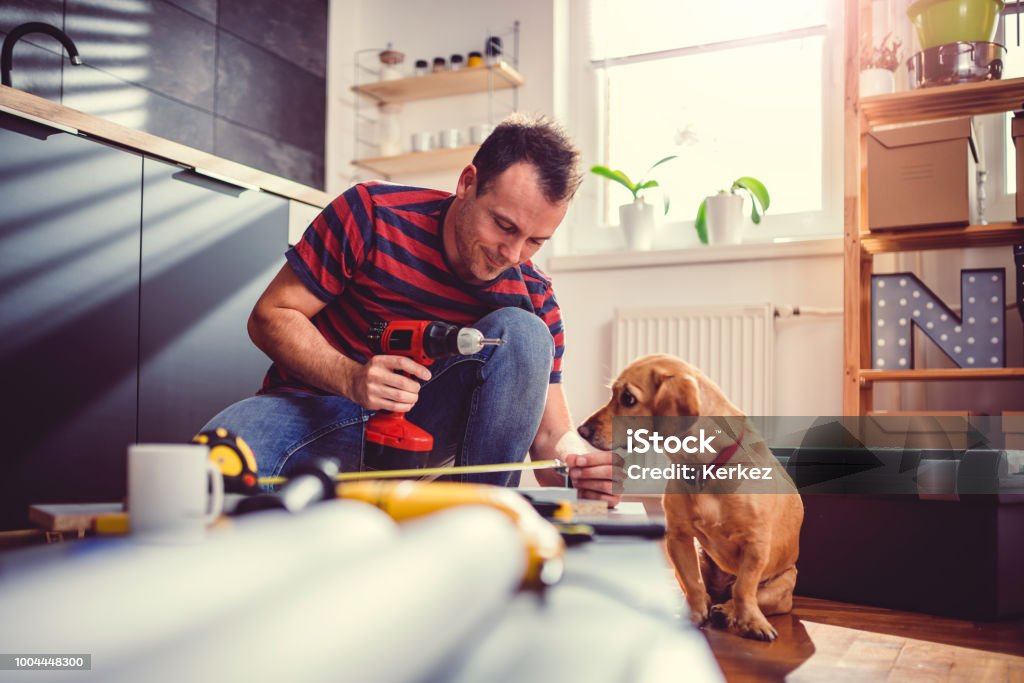 Man with dog building kitchen cabinets and using a cordless drill Man with small yellow dog working on a new kitchen installation and using a cordless drill Domestic Life Stock Photo