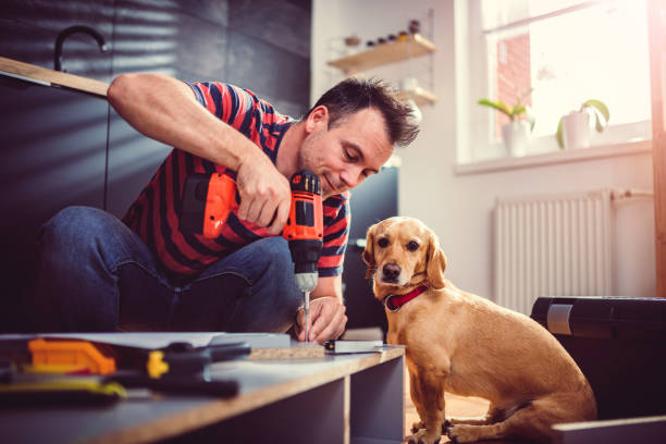 istock Man with dog building kitchen cabinets and using a cordless drill 1004448558