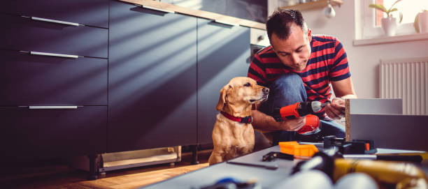 istock Man with dog building kitchen cabinets 1004453822