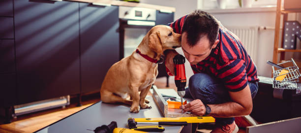 istock Man with dog building kitchen cabinets and using a cordless drill 1004453986