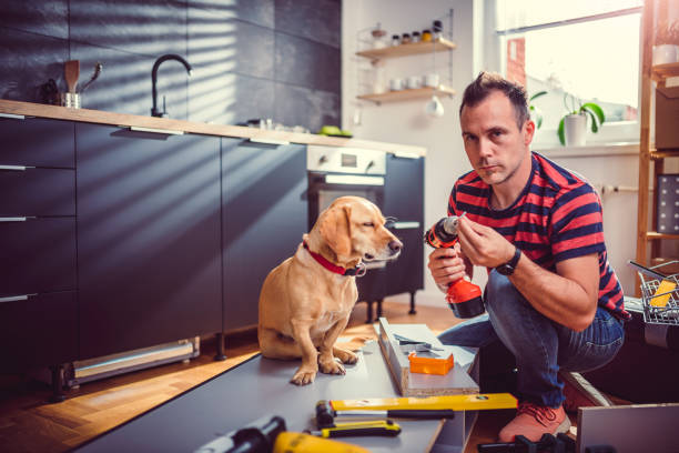 istock Man with dog building kitchen cabinets and using a cordless drill 1004454054