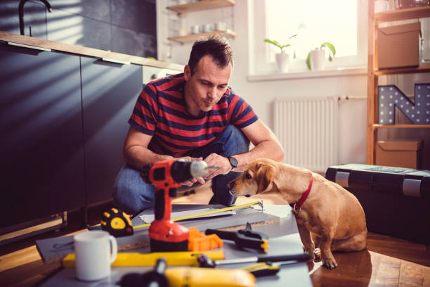 istock Man with dog building kitchen cabinets 1004454258