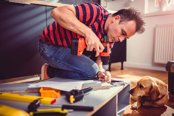 istock Man with dog building kitchen cabinets and using a cordless drill 1004454308
