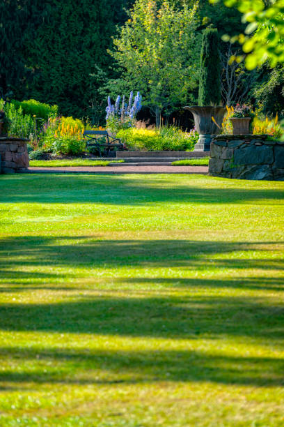 Lawn in front of entrance to flowerbeds.