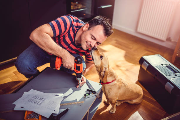 istock Man with dog building kitchen cabinets and using a cordless drill 1004454932