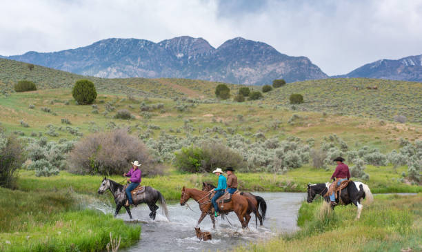 istock Ranchers on horses in Utah, USA 1004459398