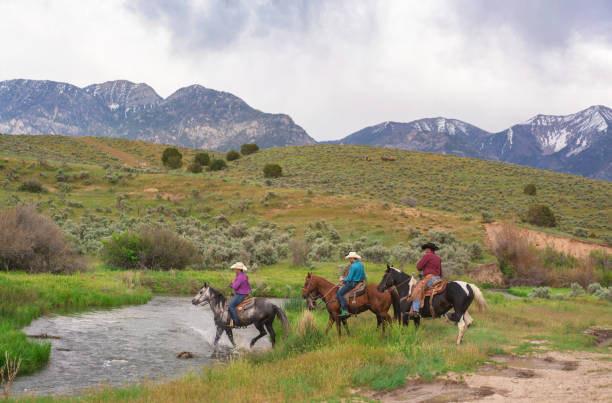 istock Ranchers on horses in Utah, USA 1004459400