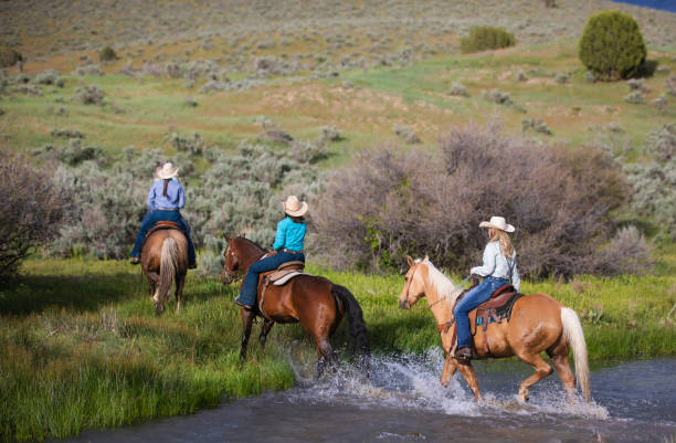 istock Ranchers Riding Across a Stream Utah, USA 1004460824