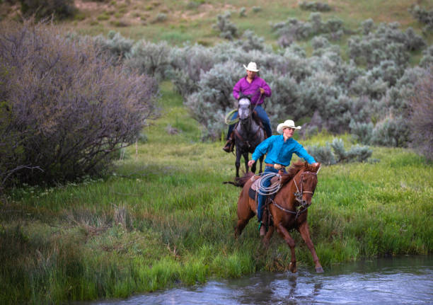 istock Ranchers Riding Across a Stream Utah, USA 1004460912