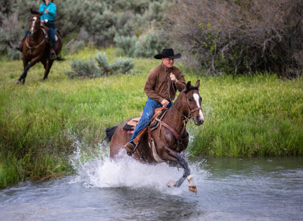 istock Cowboy Riding Across a Stream Utah, USA 1004461064