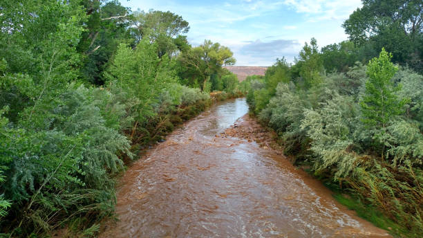 istock Heavy sediment and silt-laden Virgin River after monsoon rains 1004475408