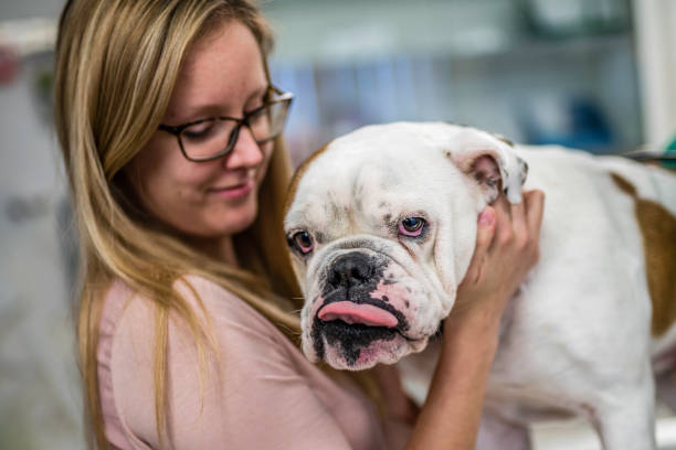 istock Owner holding her dog at the veterinarian's office 1004490420