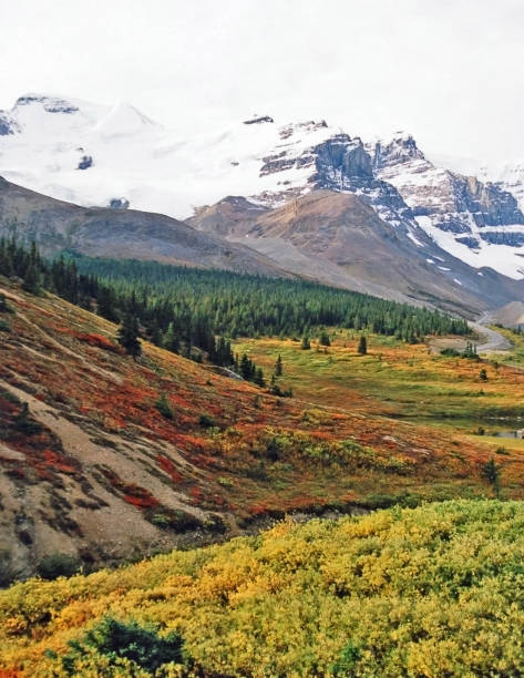 istock Icefield Parkway autumn in Jasper National Park 1004500184