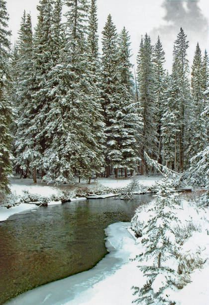 istock Small winter stream scene in   Banff National Park 1004500240