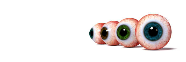 istock group of googly human eyeballs with iris in different colors, isolated with shadow on white background (3d illustration banner) 1004506314