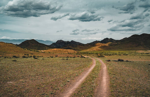 istock Highway street empty with green Kazakhstan Steppe view 1004508038