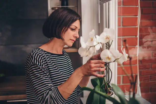 Photo of Woman checking orchid on the window