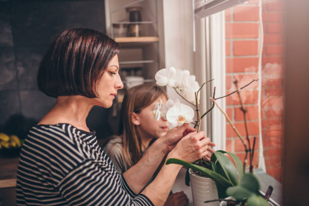 istock Mother and daughter checking orchid on the window 1004523160