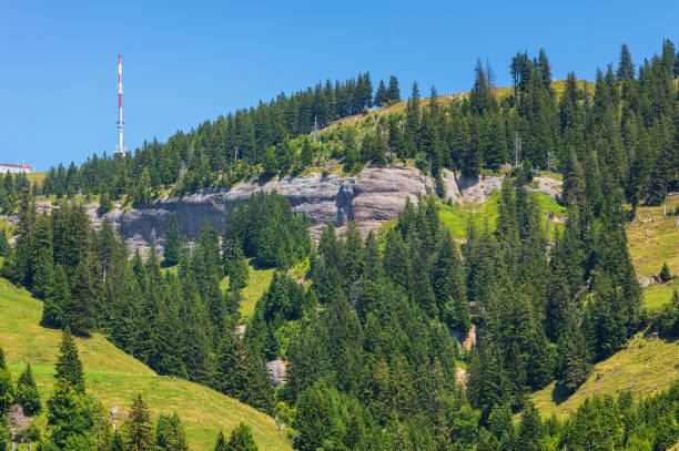 istock View on Mt. Rigi in Switzerland in summer. 1004528992