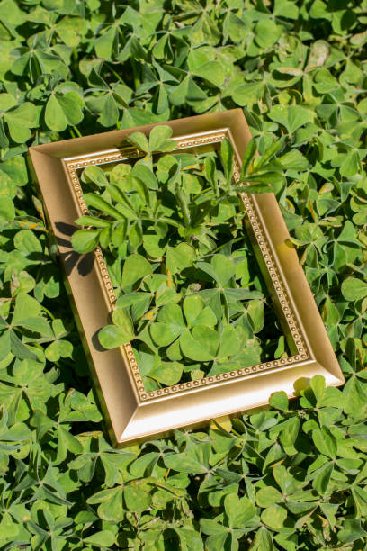 istock Blank wooden picture  frame on green background 1004534630