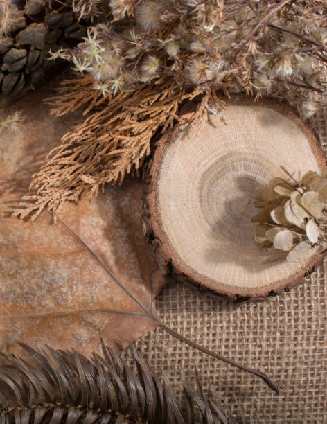 istock Small piece of cut wood log in round shape 1004534650