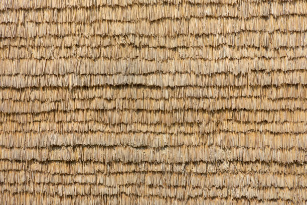 istock isolation of a house wall with dried straw 1004536930