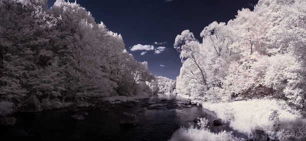 the art of our world in the infrared spectrum