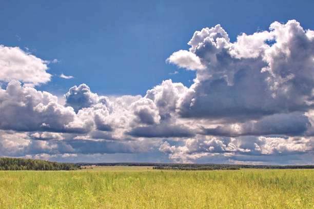 istock A panorama of large, fluffy clouds on a blue sky over wide field 1004545810